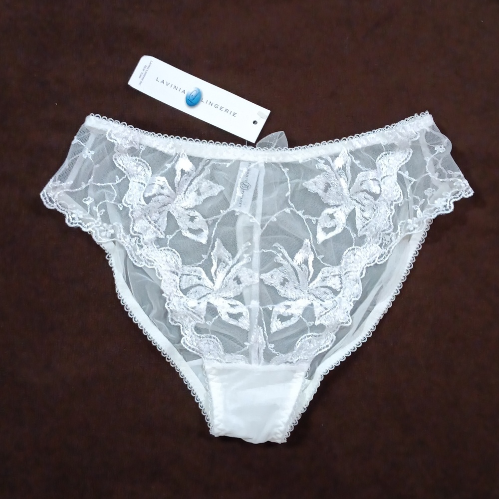 Sheer Lace Bikini Brief by Lavinia Lingerie in White | NWT